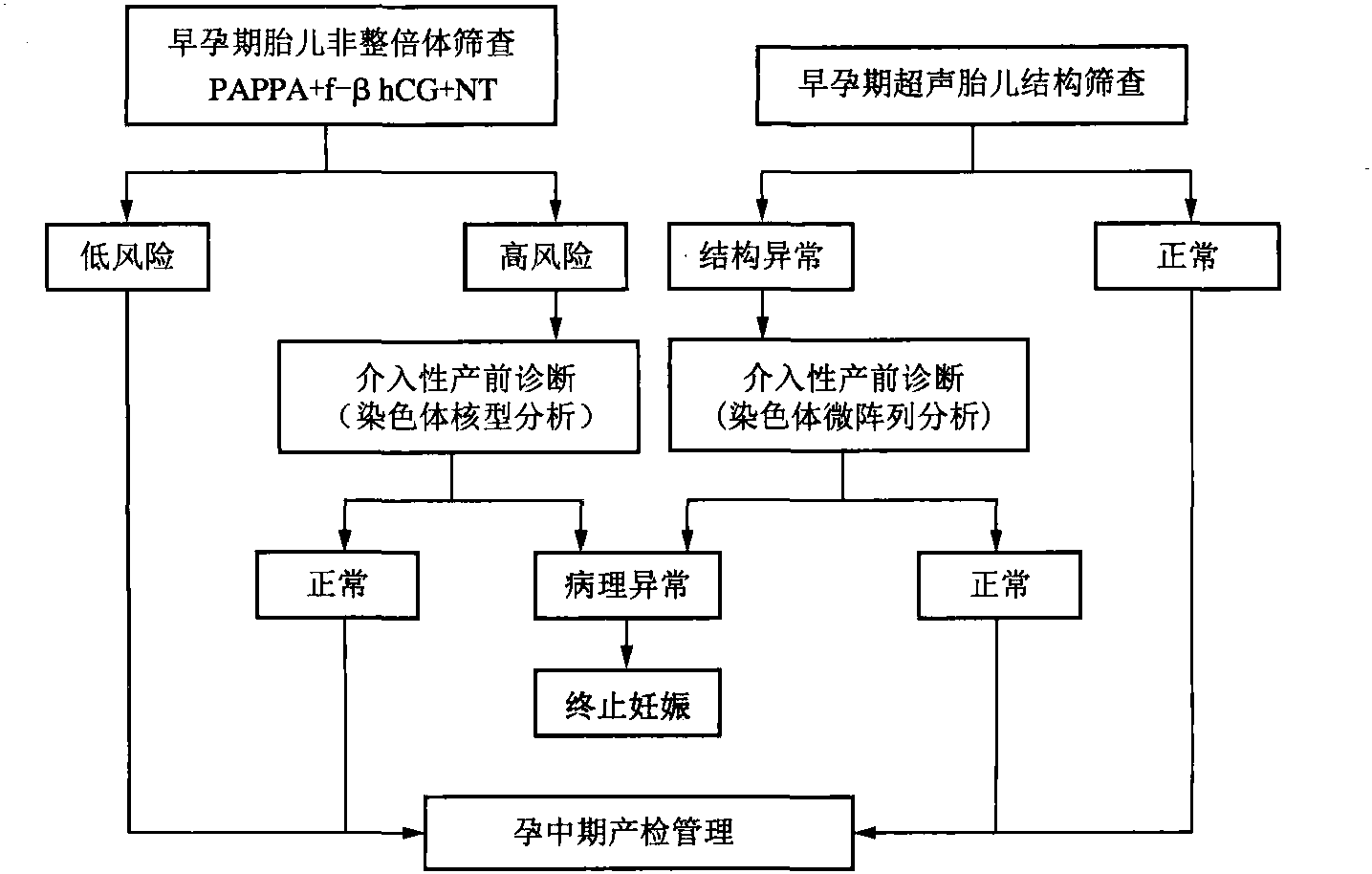 六、出生缺陷二級(jí)防控